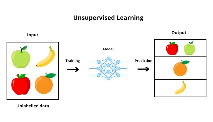 Diagram describing the training of a model using a unsupervised learning algorithm.